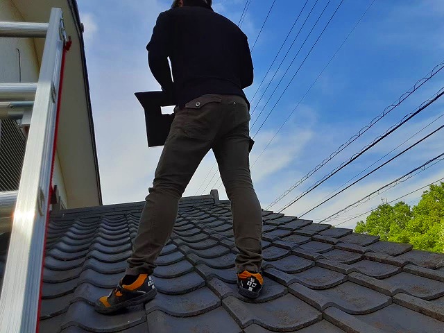 現場調査を行うスタッフ